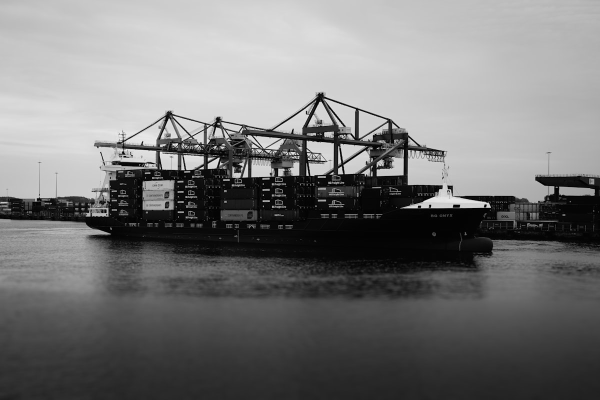 Container vessel with cranes in harbour